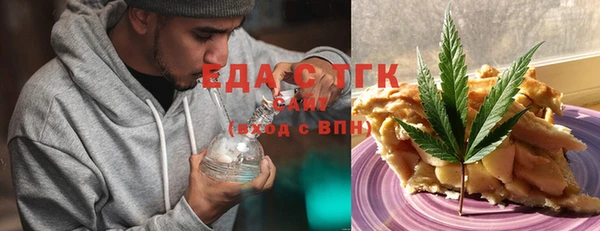 гашик Туринск